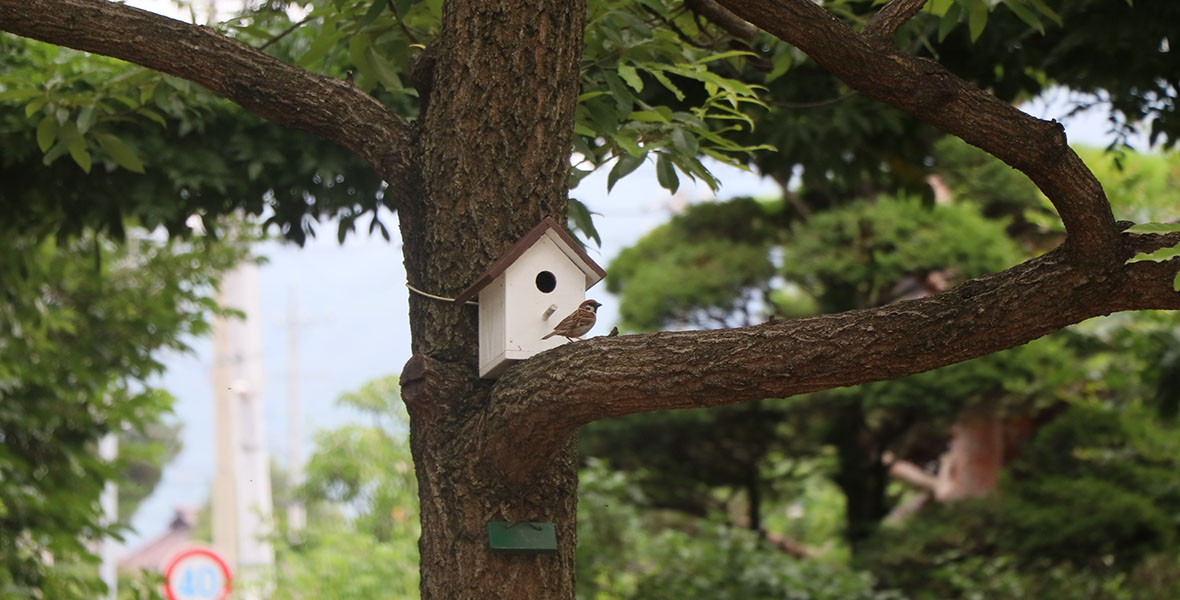 の画像