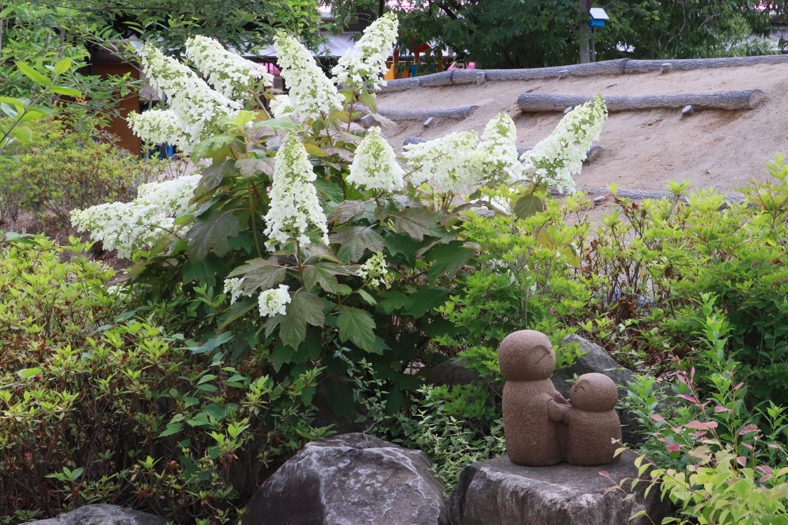 の画像